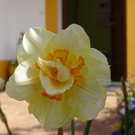 Mira Vila By Stay In Alentejo For Hikers Vila Nova de Milfontes Esterno foto