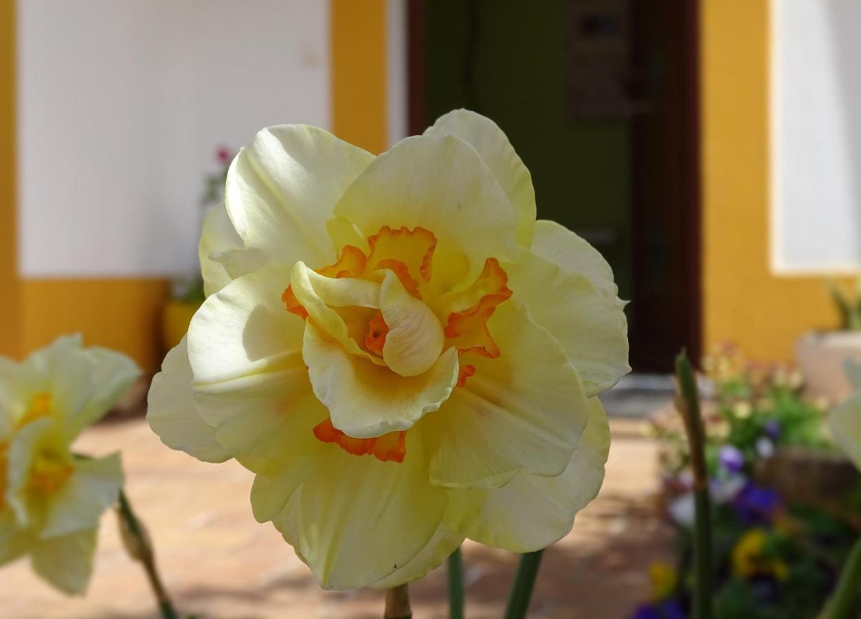 Mira Vila By Stay In Alentejo For Hikers Vila Nova de Milfontes Esterno foto